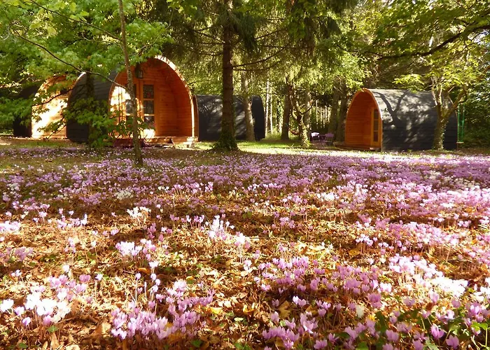 La Rossignolerie - Pod Cabanes Des Chateaux