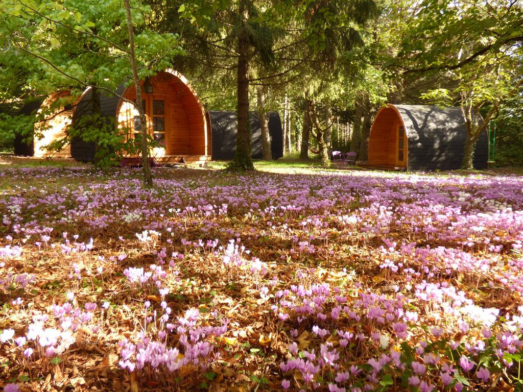 La Rossignolerie - Pod Des Chateaux Campsite