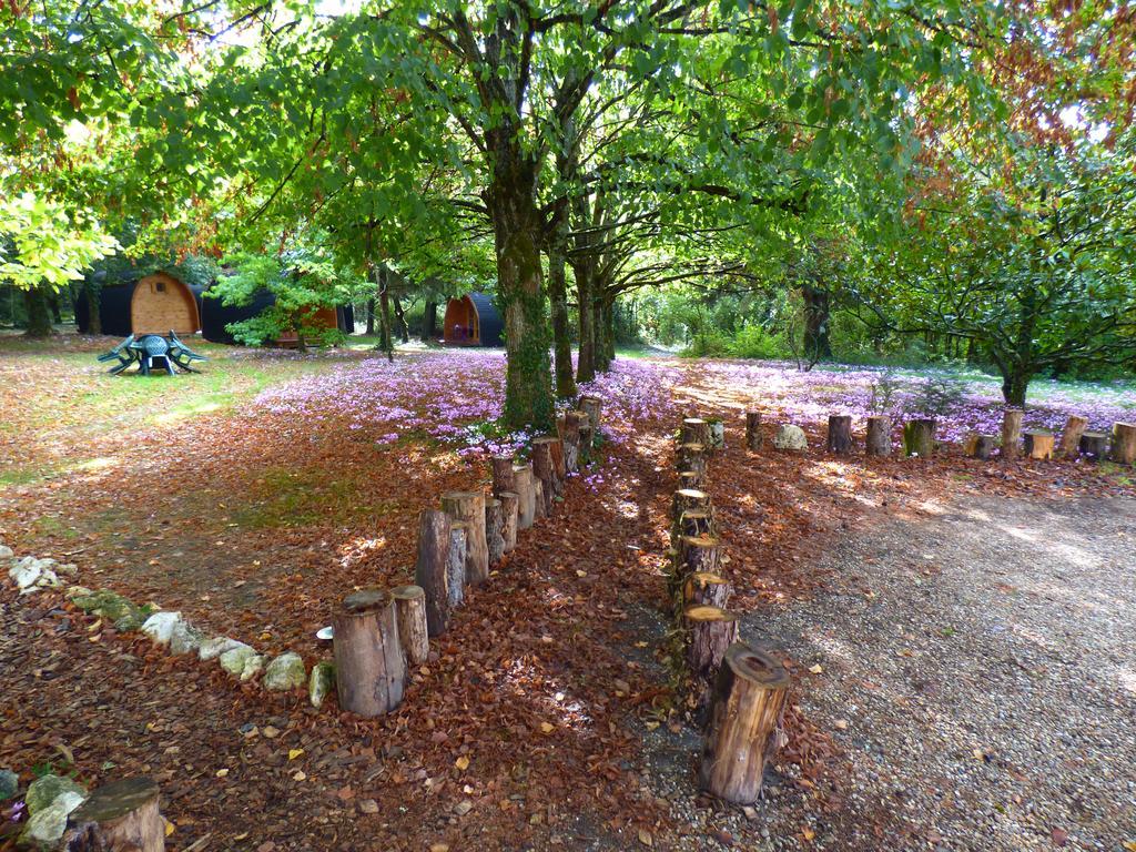 La Rossignolerie - Pod Des Chateaux Campsite Chouzy-sur-Cisse